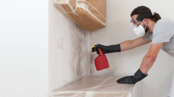 Professional Bathroom Mold Removal technician working in Rutherford, PA