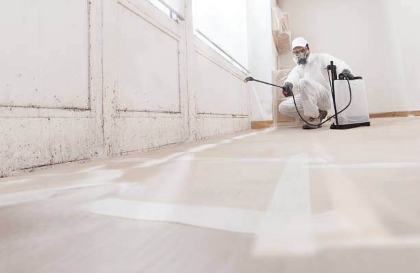 24/7 Emergency Bathroom Mold Removal experts in Rutherford, PA