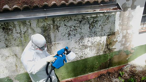 Top rated local Bathroom Mold Removal specialists in Rutherford, PA